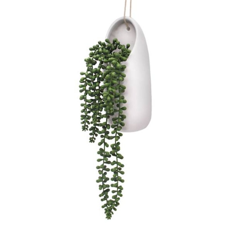Hanging Succulent in Ceramic Pot, 19″