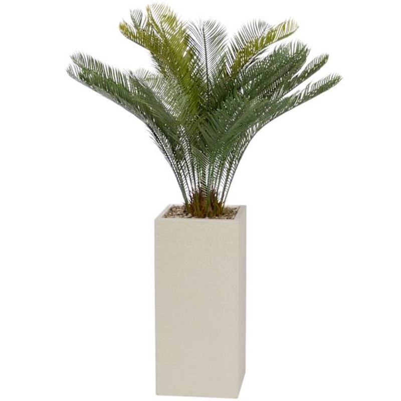 Palm with Square Textured Planter, 54″