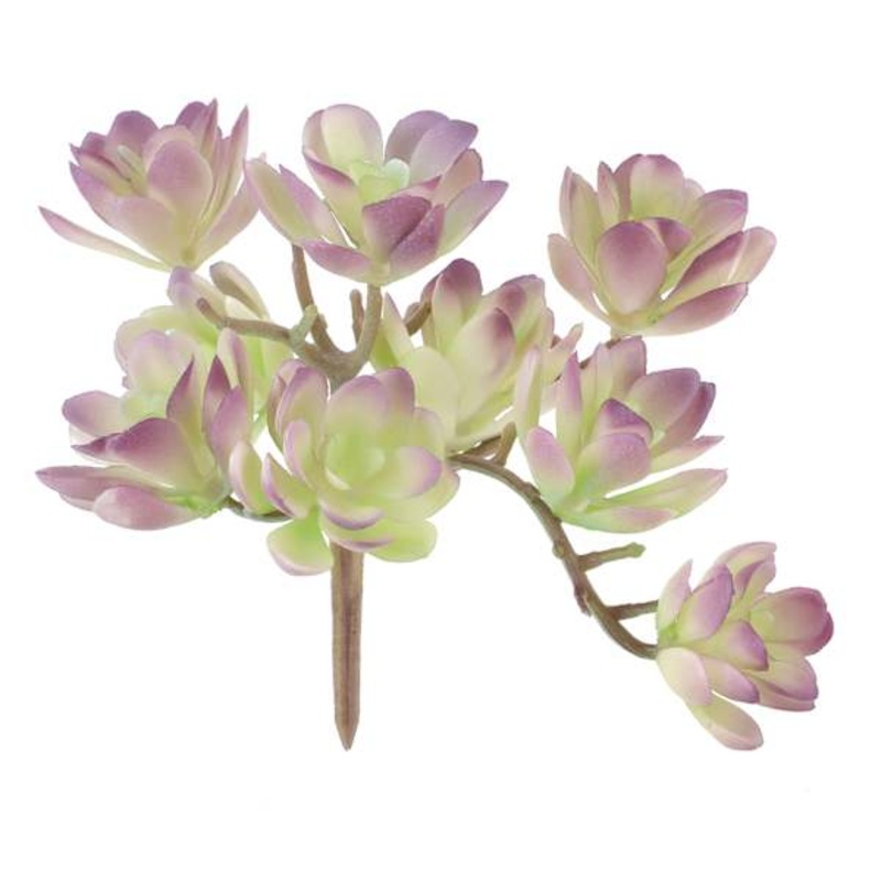 Purple Echeveria Pick, 5″