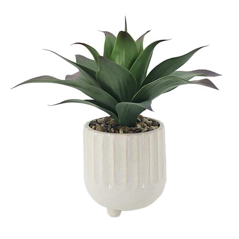 Succulent in Footed Ceramic Pot, 17″