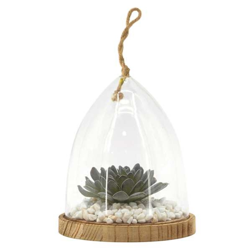 Succulent in Glass Vessel with Wood Base, 6.5″