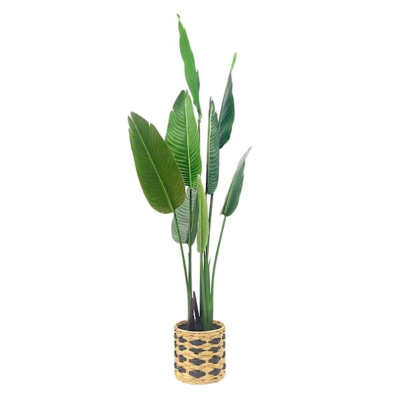 Tracey Boyd Tropical Plant in Basket, 60″