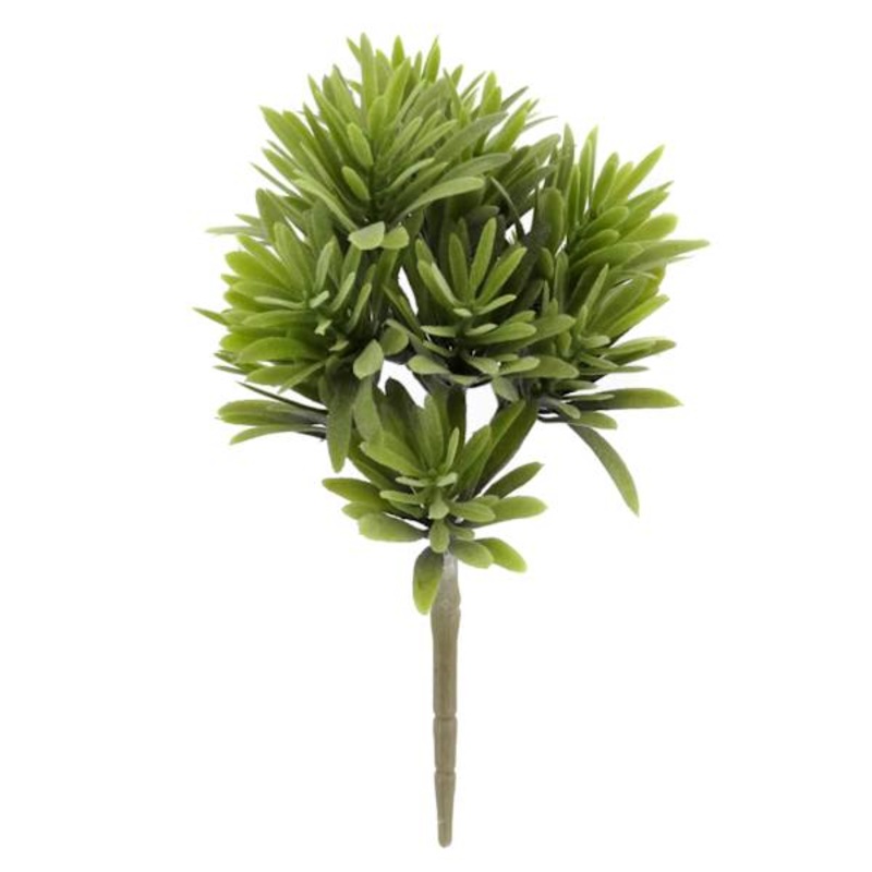 Green Jade Plant Stem, 9.5″