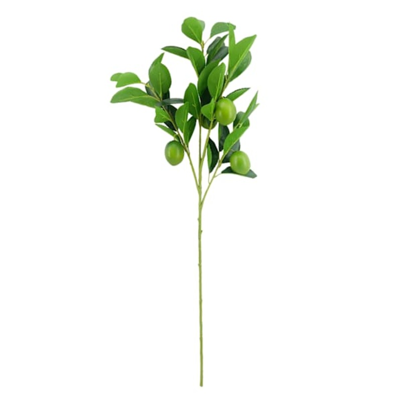 Green Lime Branches, 24″