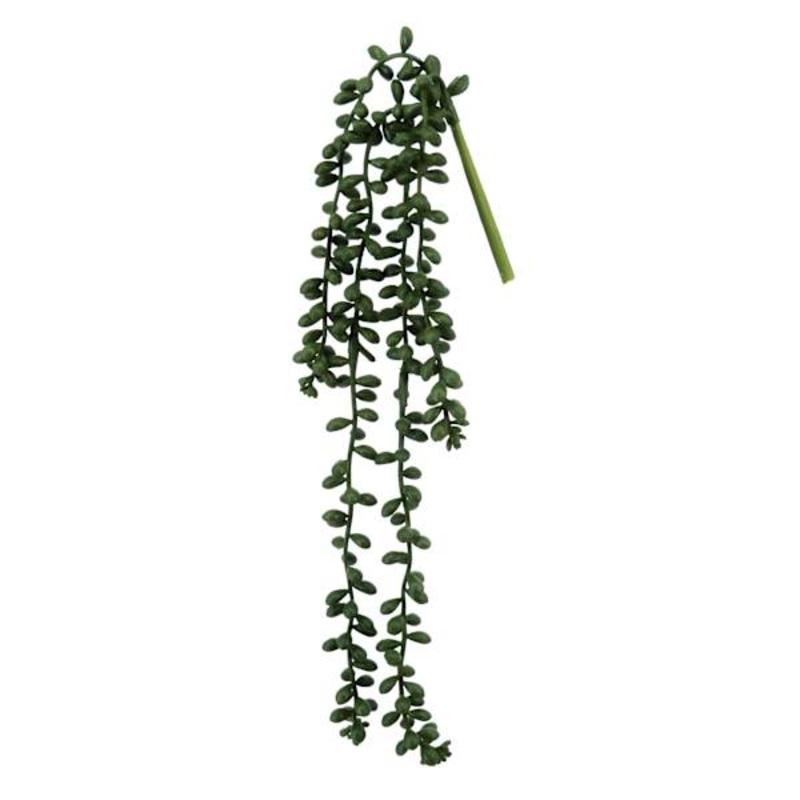 Green Nertera Berry Stem, 13.8″