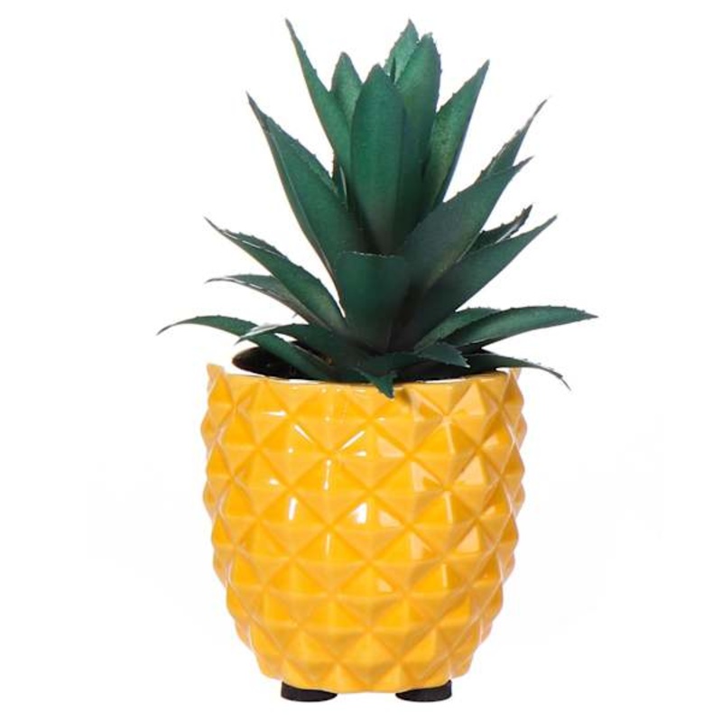 Mini Succulents in Pineapple Pot, 7″