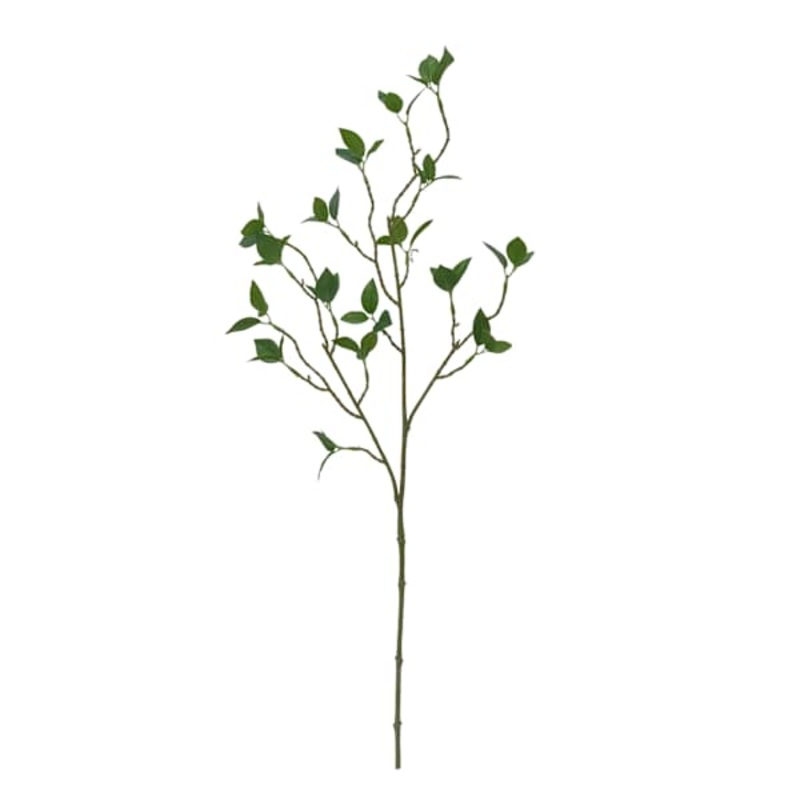 Watercress Leaves Stem, 30″