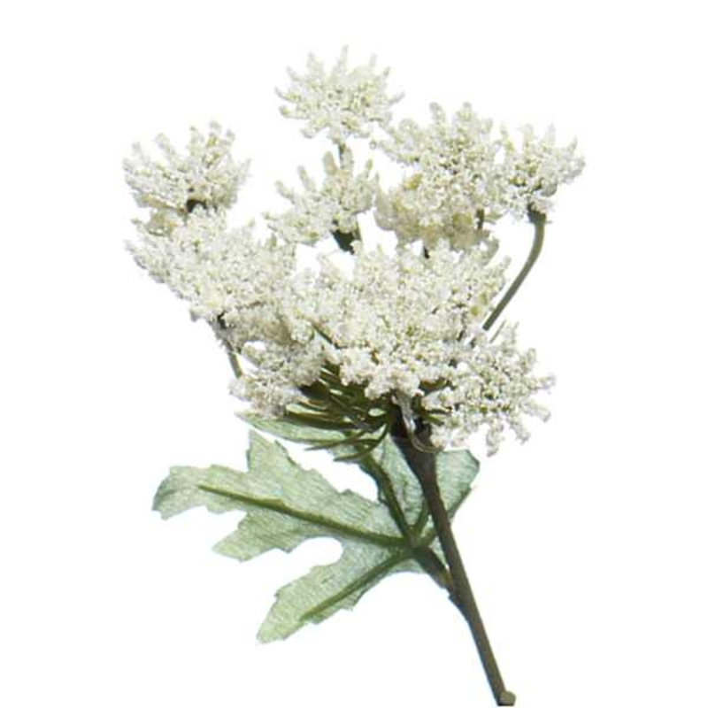 White Queen Anne’s Lace Pick, 11.5″