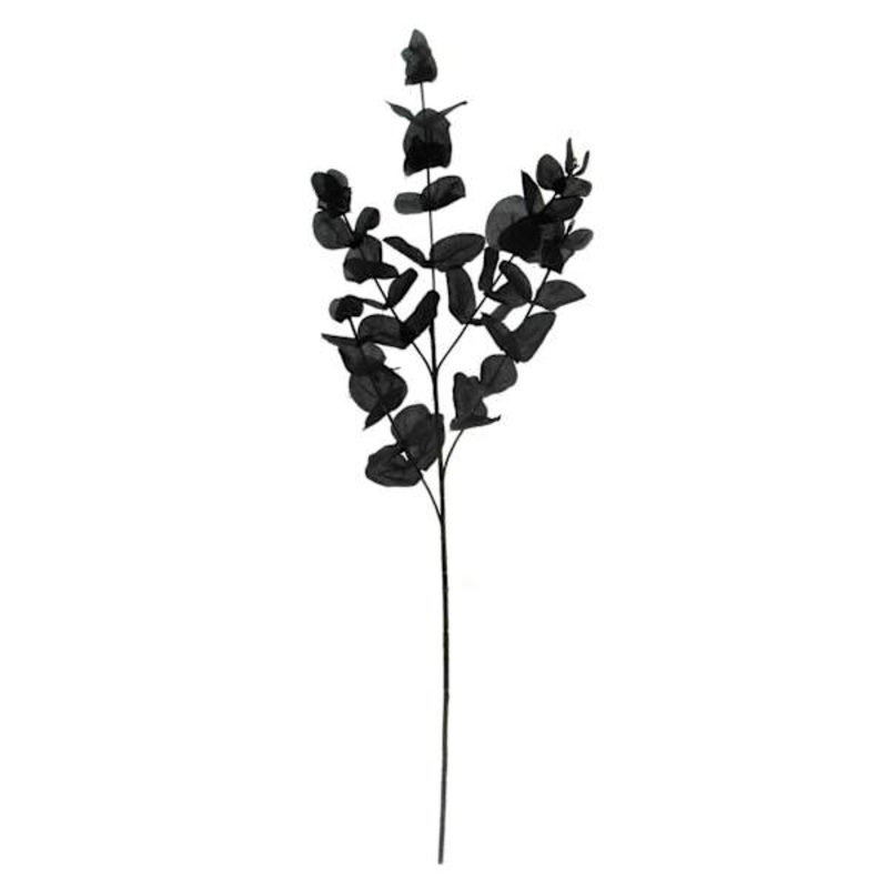Black Eucalyptus Spray, 31″