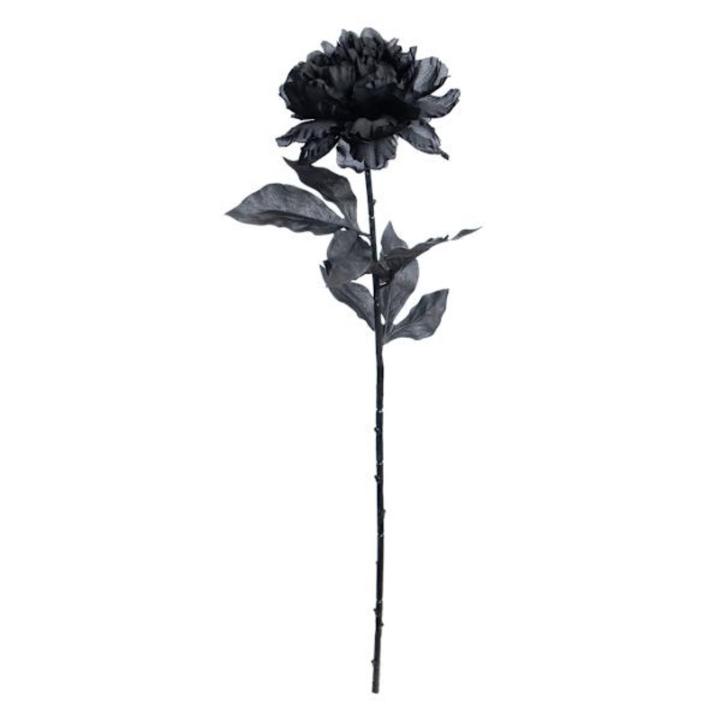 Peony Stem, 27″