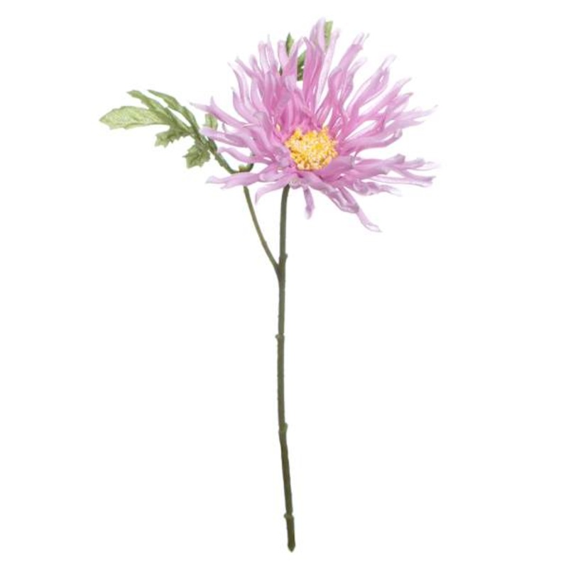 Purple African Daisy Pick, 11″