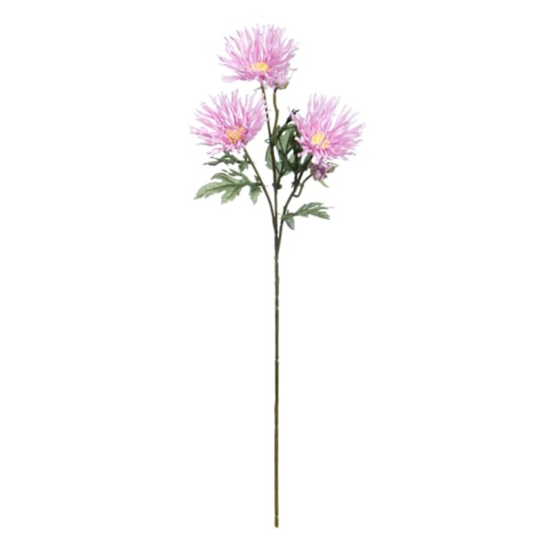 Purple African Daisy Spray, 12″