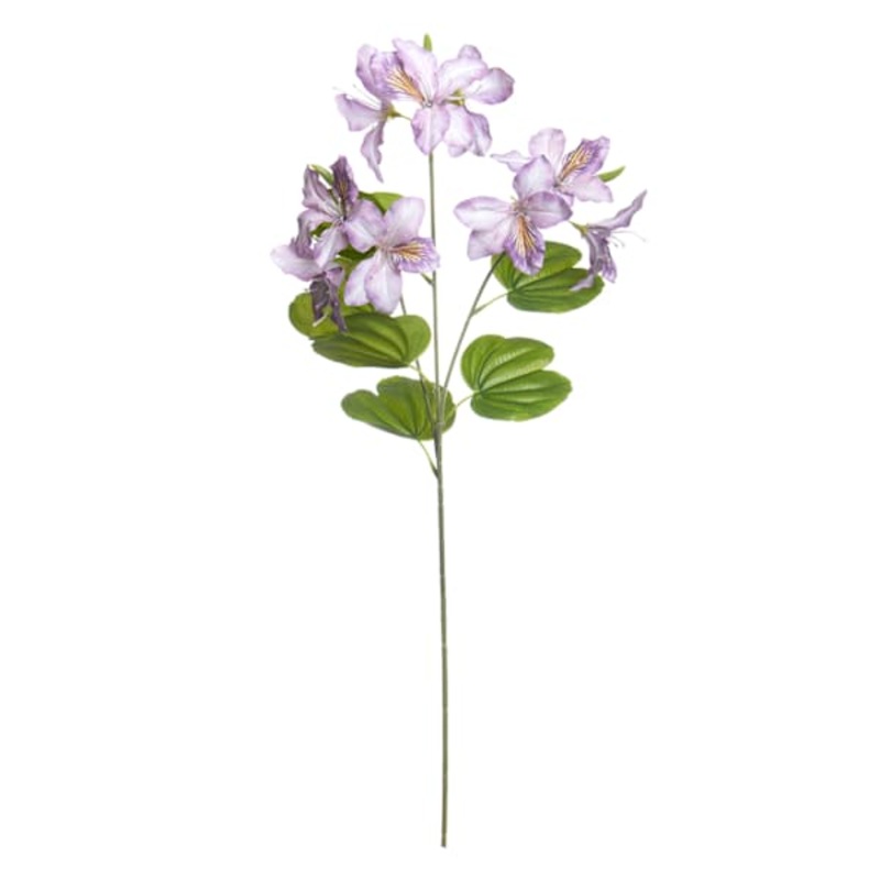 Purple Bauhinia Spray, 29″