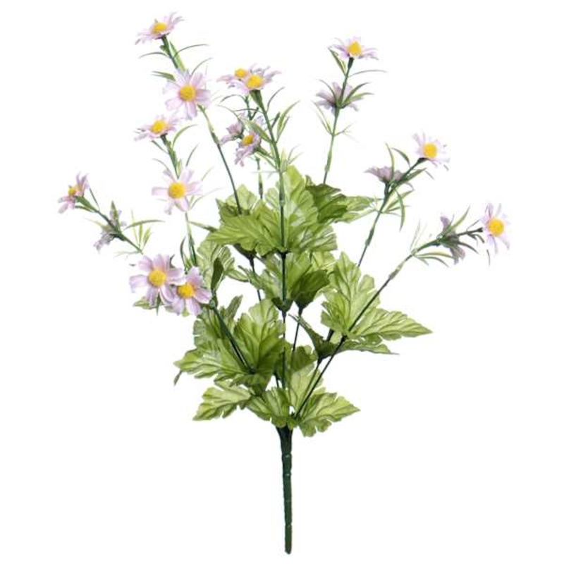 Purple Daisy Bush, 19″