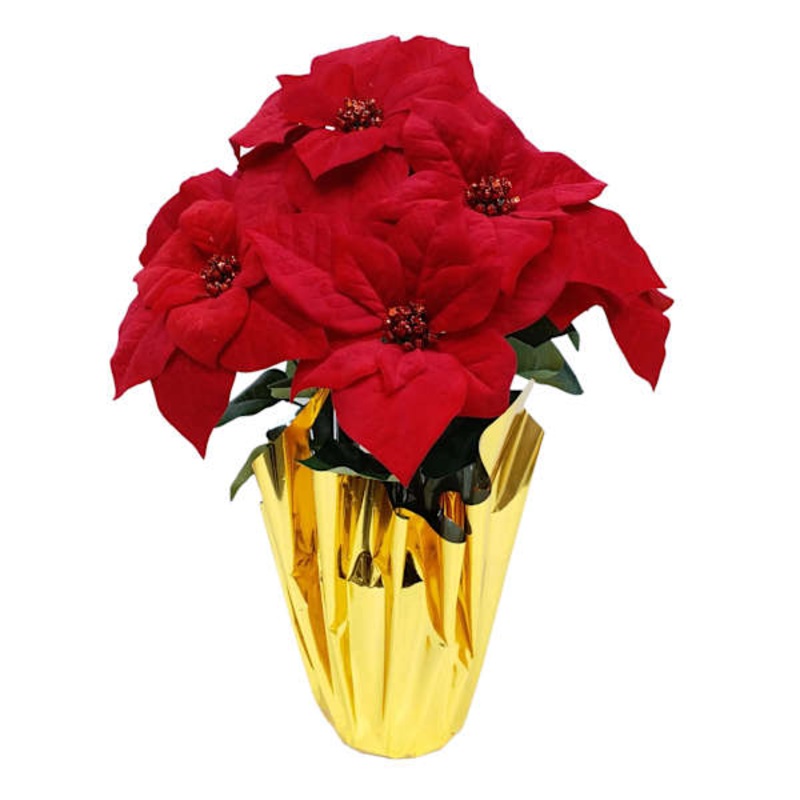 Red Poinsettia in Gold Foil Pot, Large
