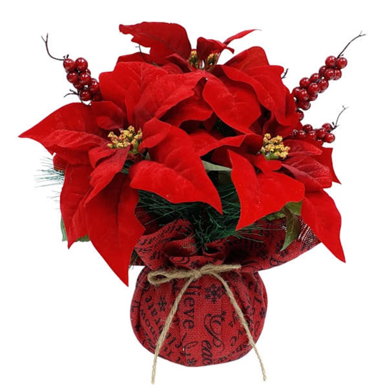 Red Poinsettias with Burlap Pot, 16″