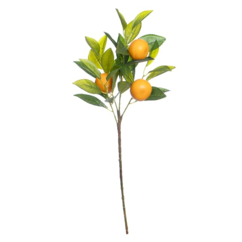 Tangerine Spray, 21″