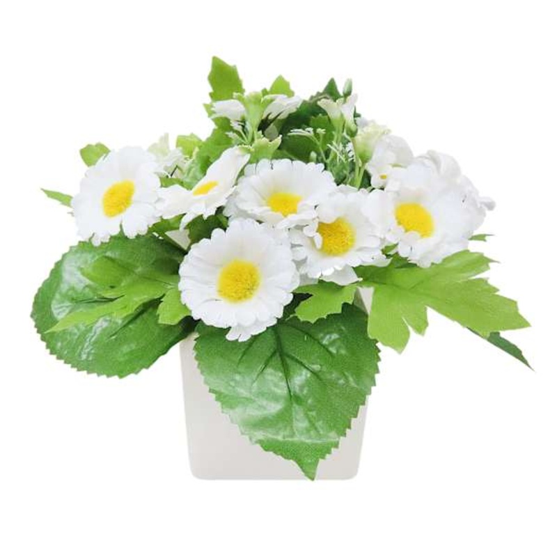 White Daisey Floral Arrangement in White Ceramic Pot, 7″