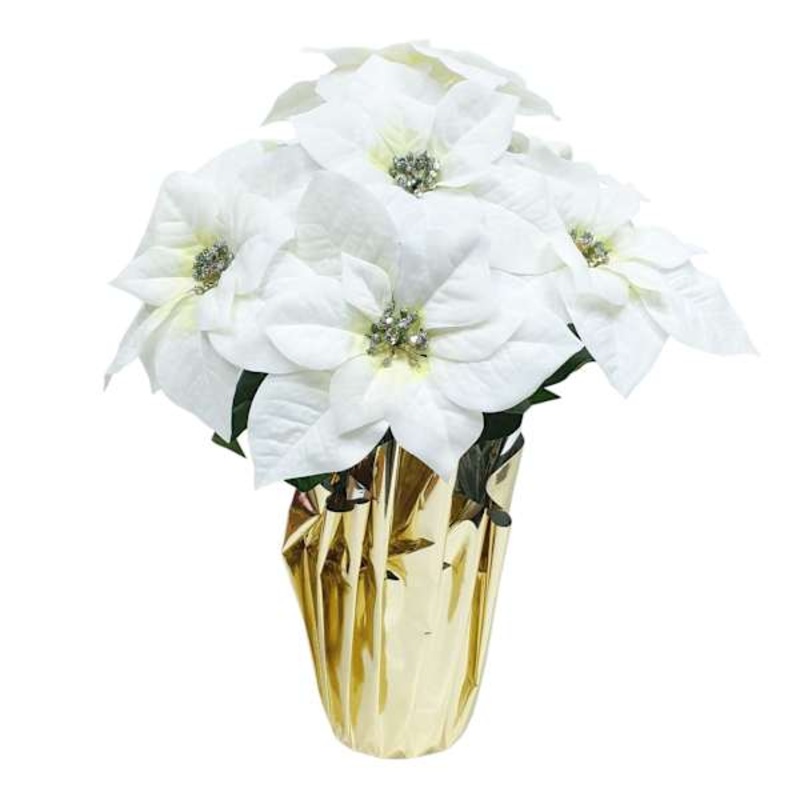 White Poinsettias in Gold Foil Pot, Large