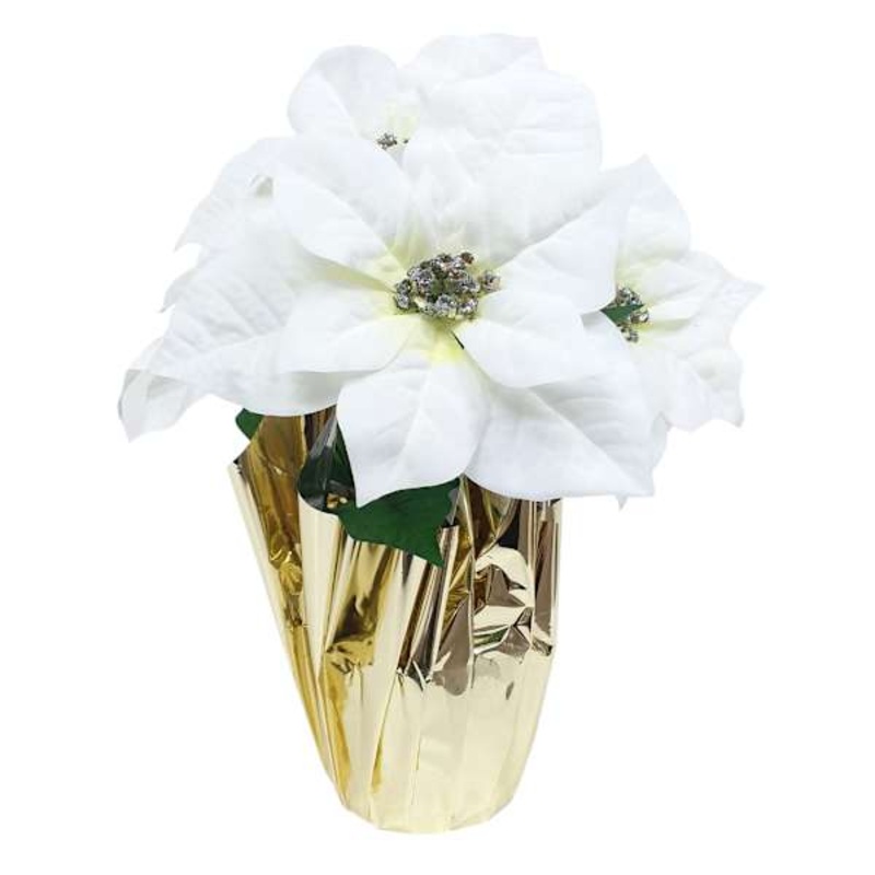 White Poinsettias in Gold Foil Pot, Small