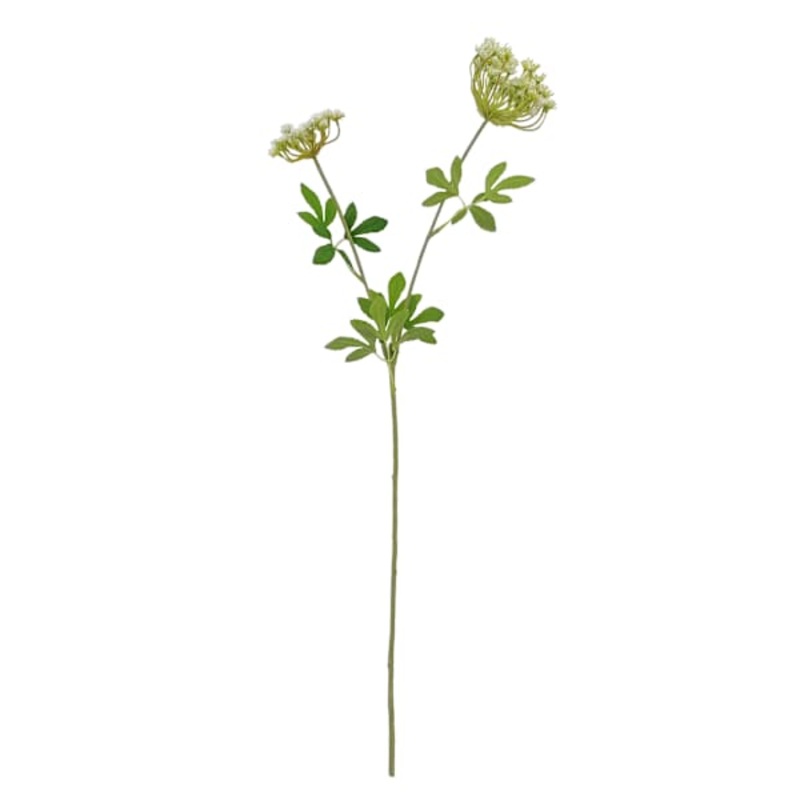 Green Queen Anne’s Lace Stem, 30″