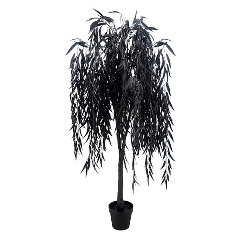 Grim Gardens Black Willow Tree in Pot, 60″
