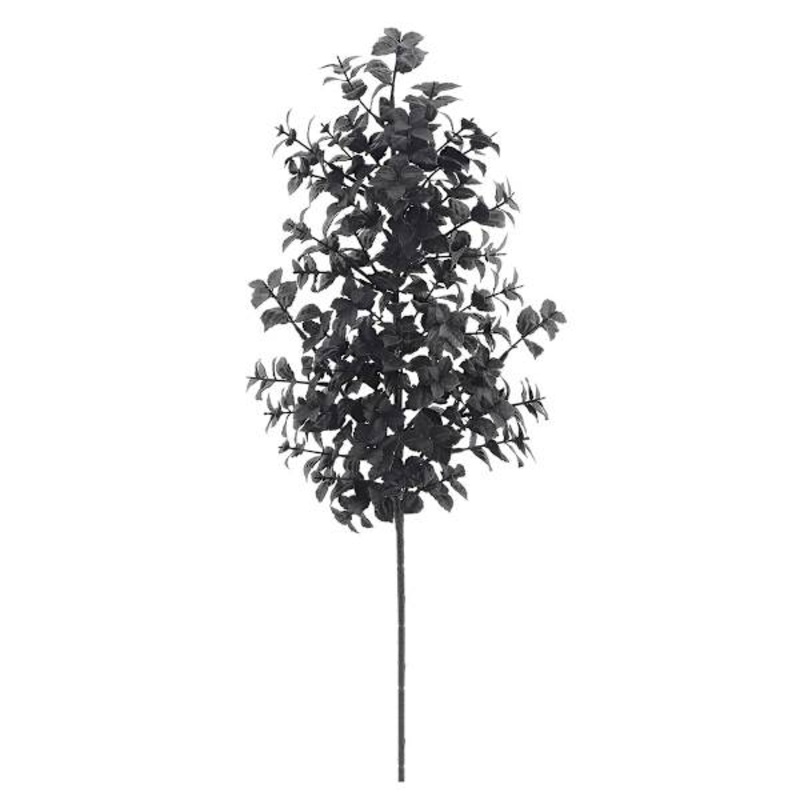 Midnight Shadows Black Boxwood Stem, 25.5″