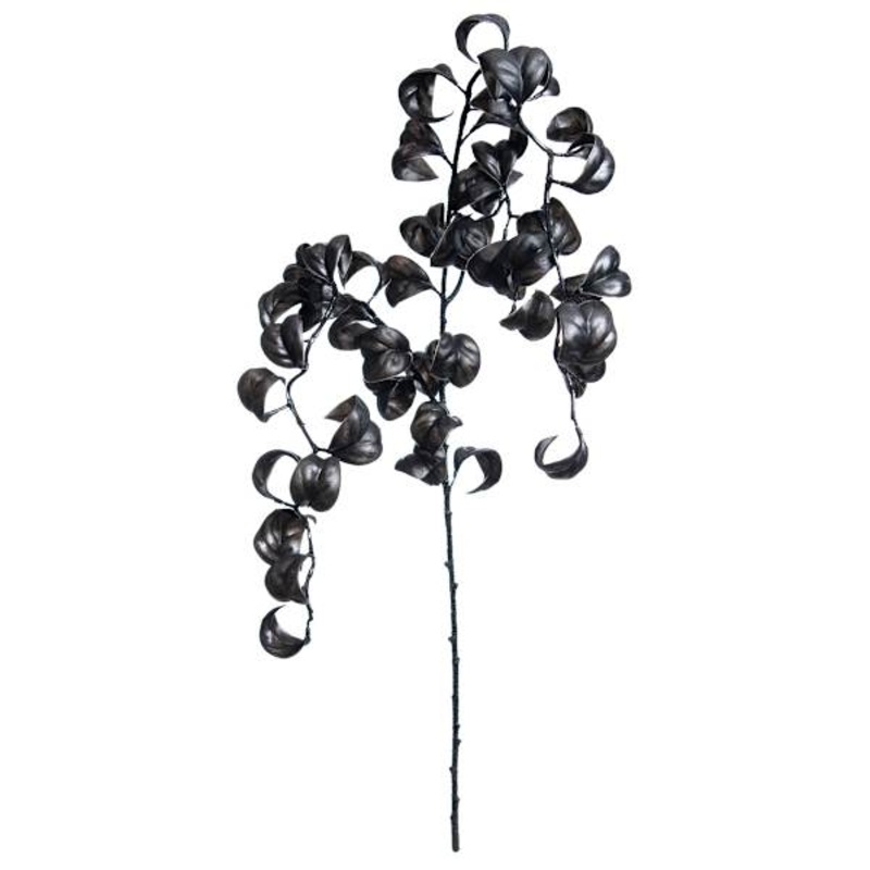 Midnight Shadows Black Curly Leaf Hanging Spray, 37″