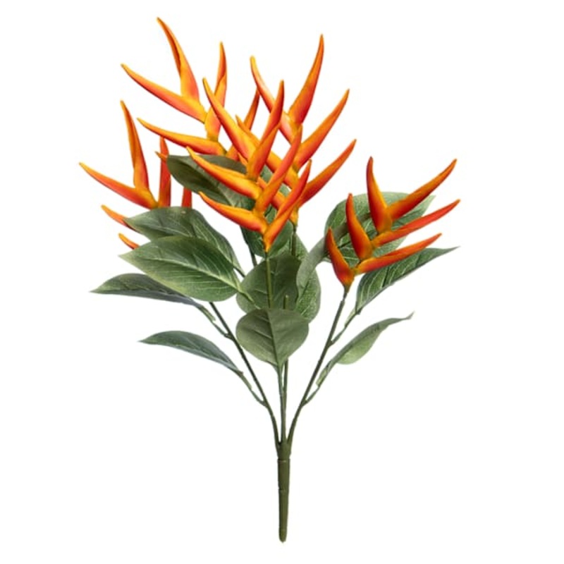 Orange Helicopia Bush, 24″