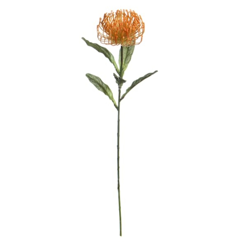 Orange Protea Floral Stem, 27″