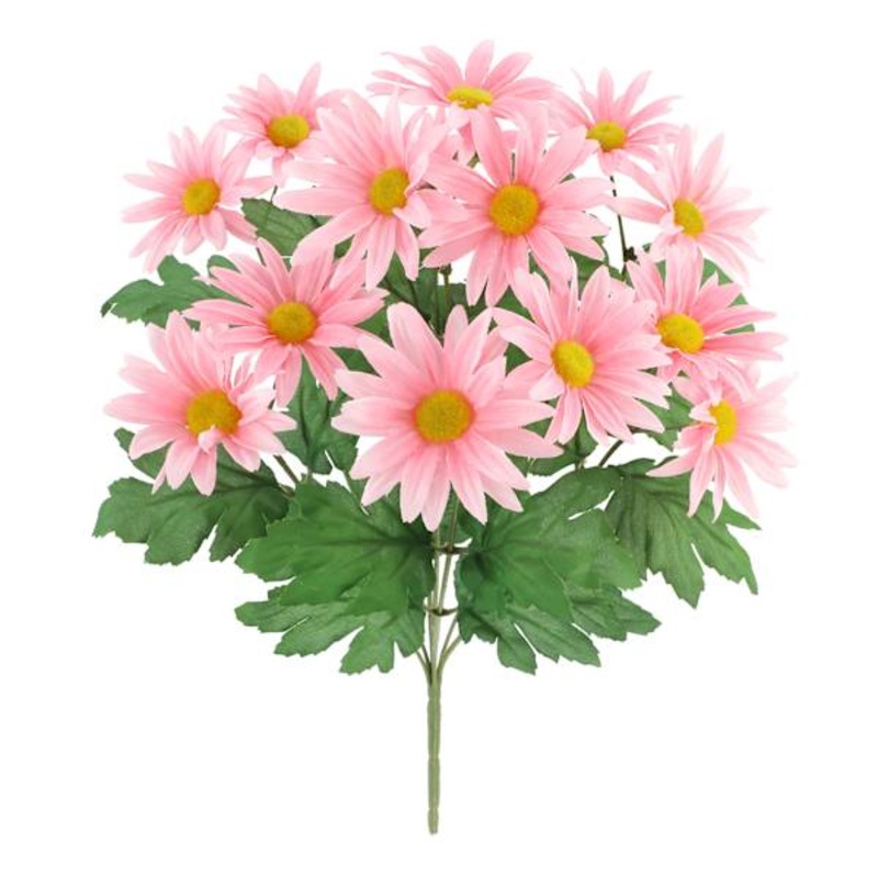 Pink Daisy Bush, 18″