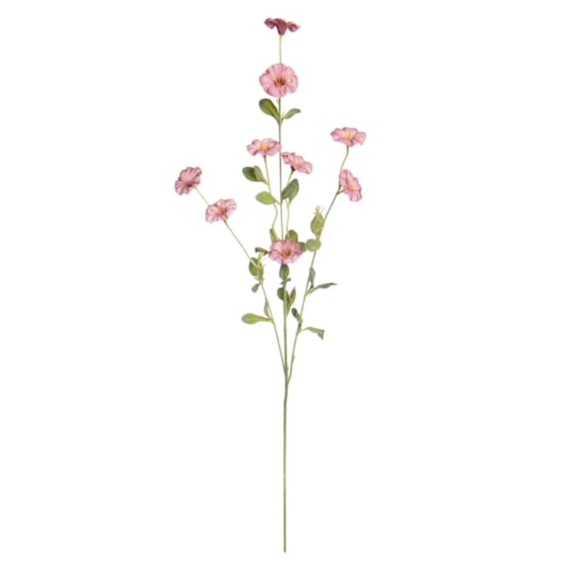 Pink Morning Glory Spray, 34″