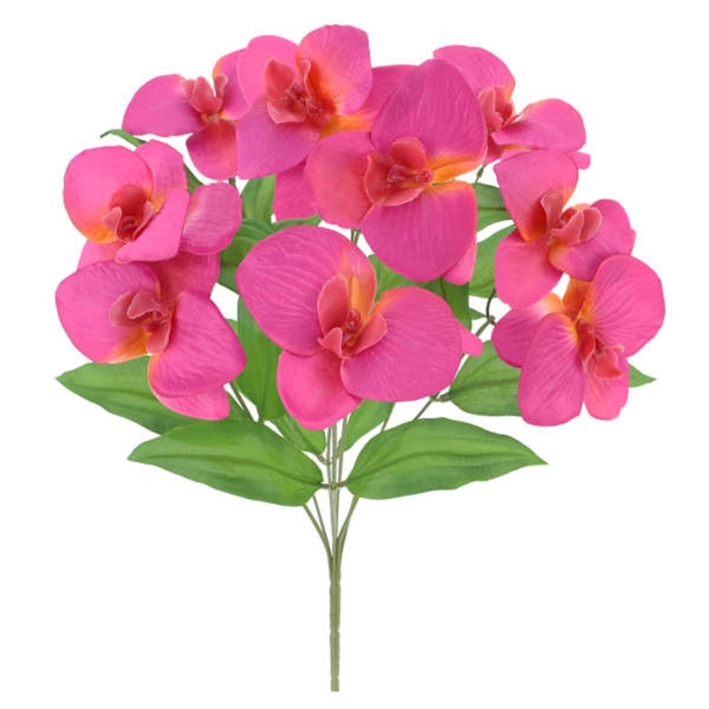 Pink Orchid Bush, 18″