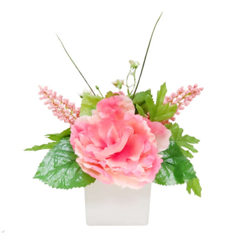 Pink Peony in Square Ceramic Pot, 7″