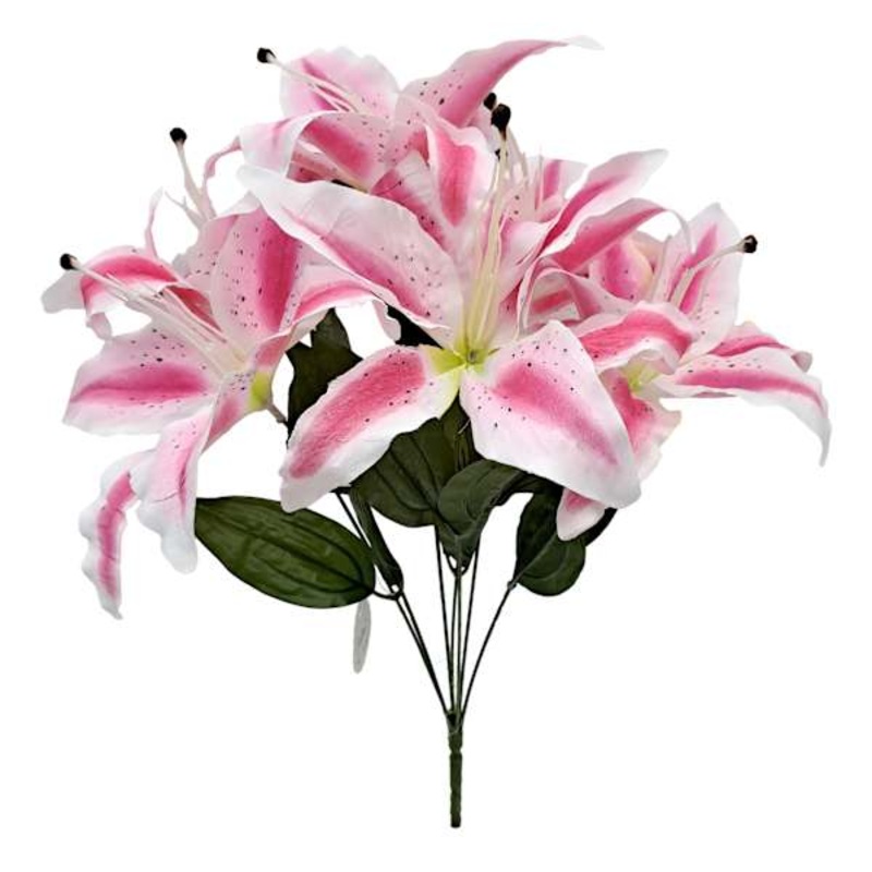 Pink Tiger Lily Bush, 19″