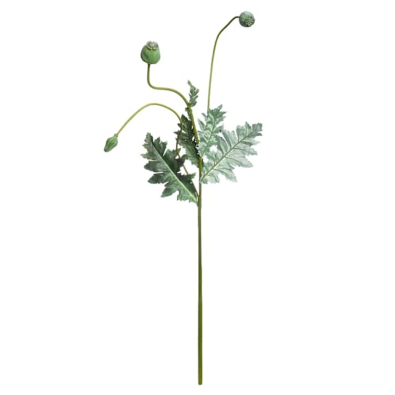 Poppy Pod Spray, 35″