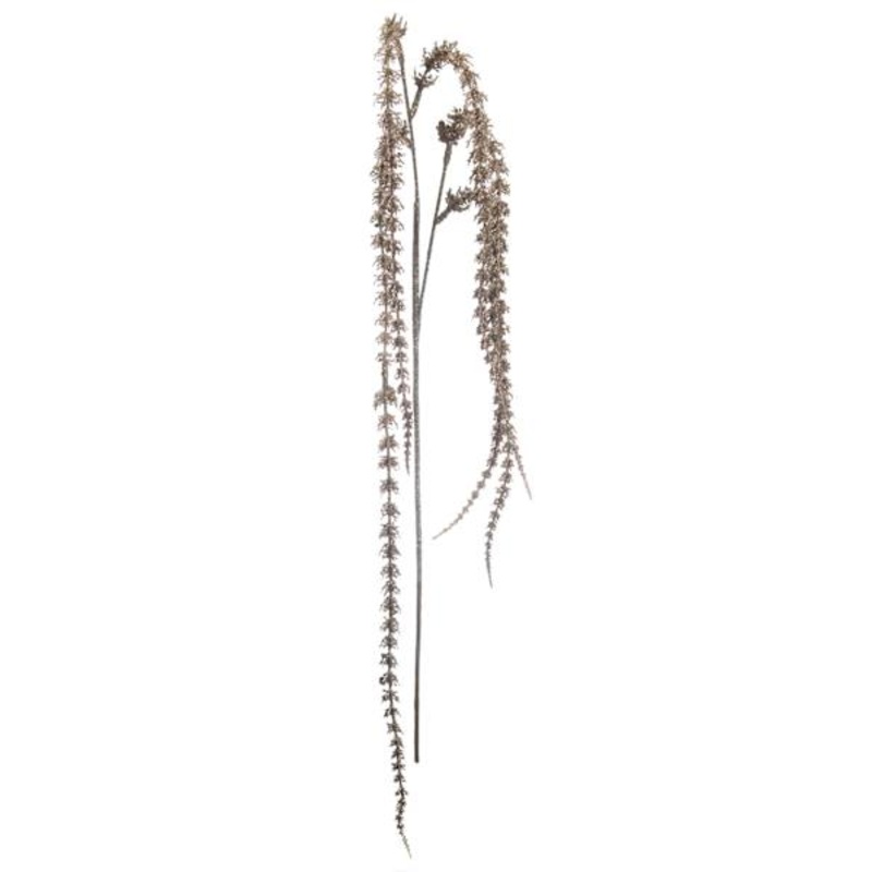 5-Head Champagne Amaranthus Stem, 45″