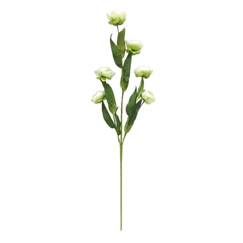 6-Bulb Green Ranunculus Floral Spray, 31″