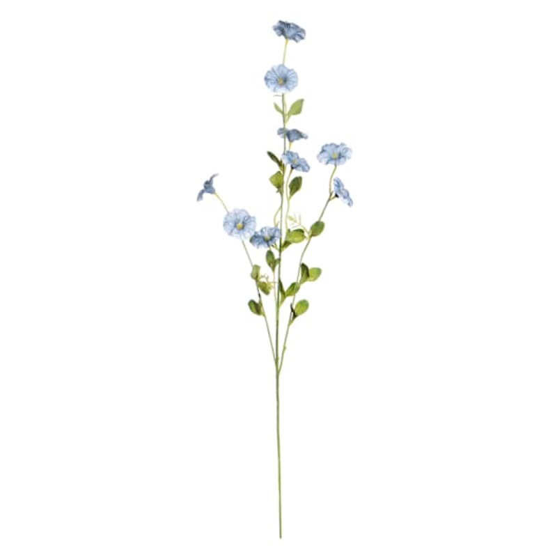 Blue Morning Glory Spray, 34″