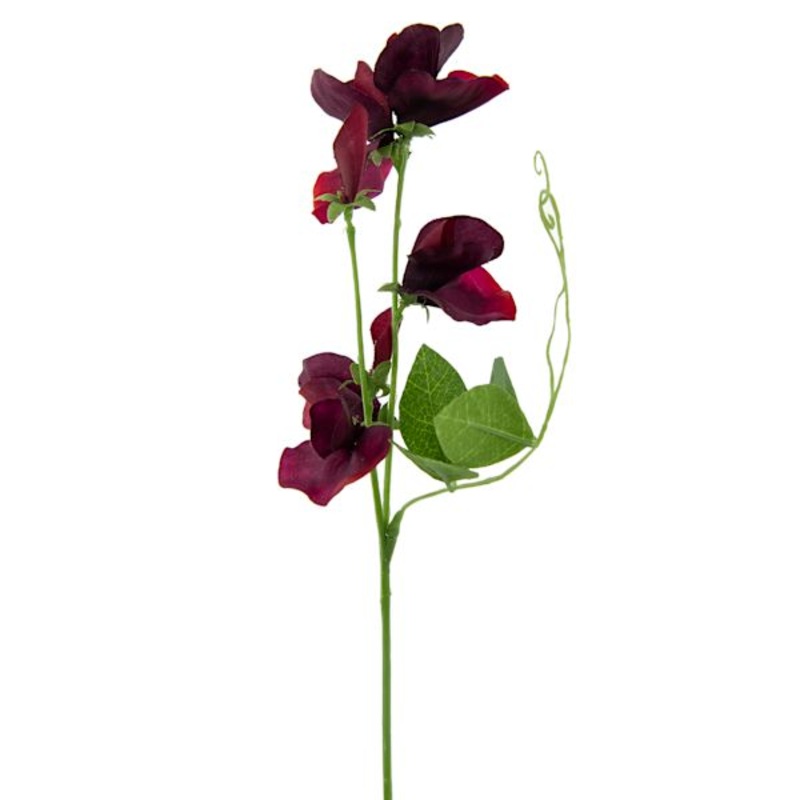 Burgundy Sweet Pea Floral Pick, 12″