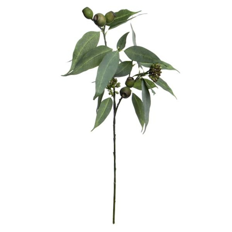 Eucalyptus & Seed Spray, 32″