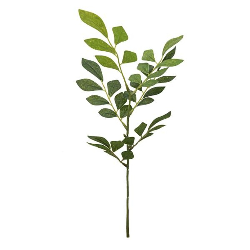 Green Smilax Vine Pick, 10″