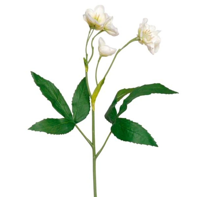 White Hellebore Floral Spray, 25″