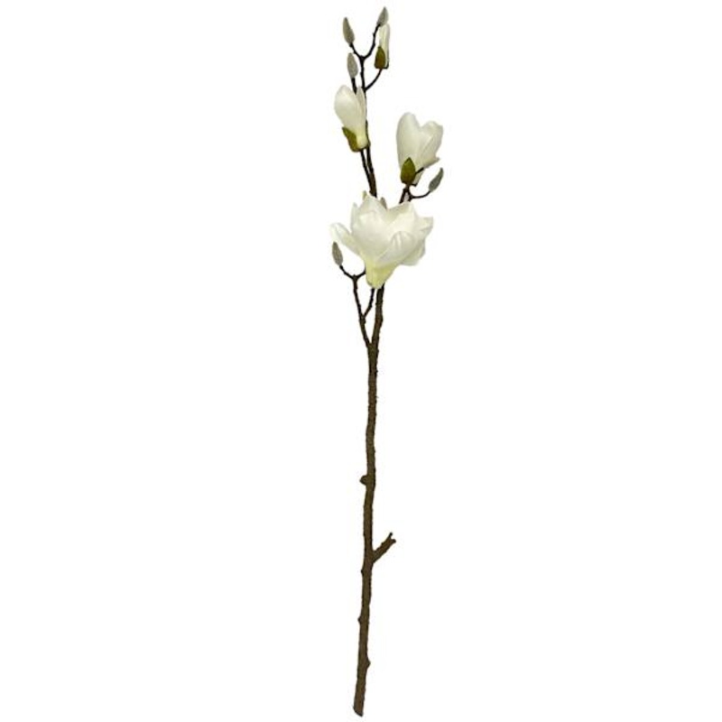 White Magnolia Flower Branch, 32″