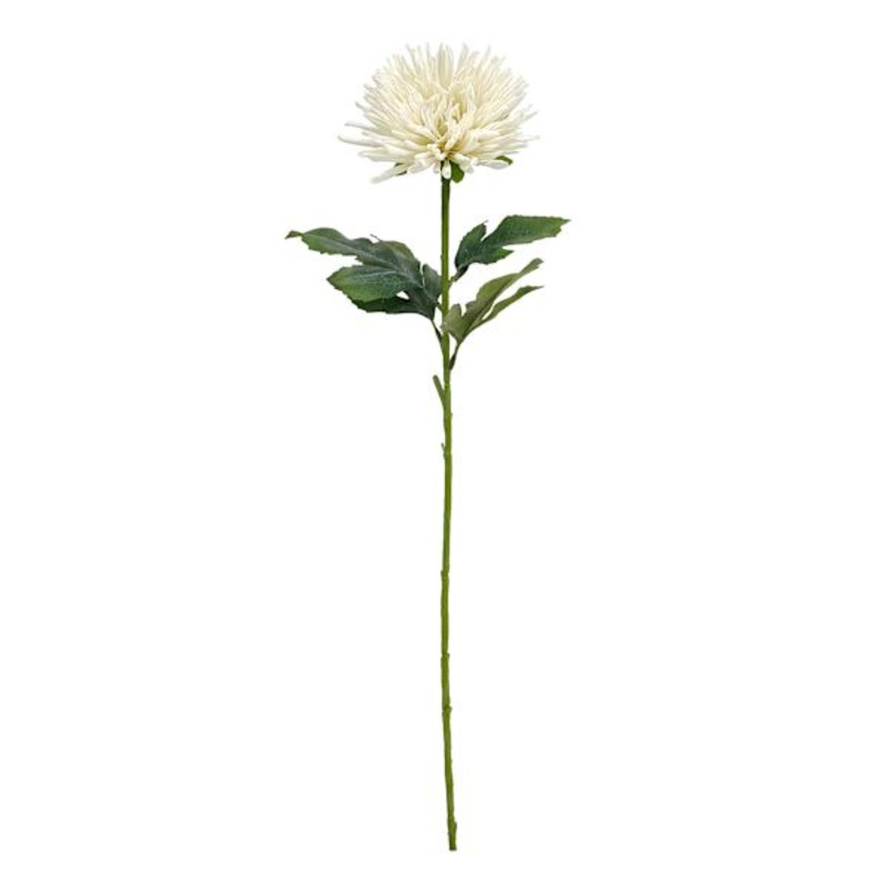 White Star Floral Stem, 24″