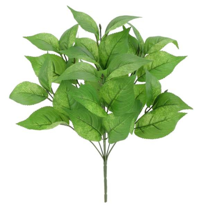 Cherry Leaves Bush, 18″
