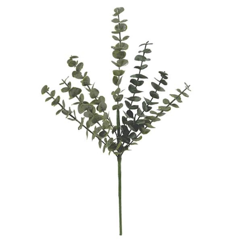 Eucalyptus Spray, 23″