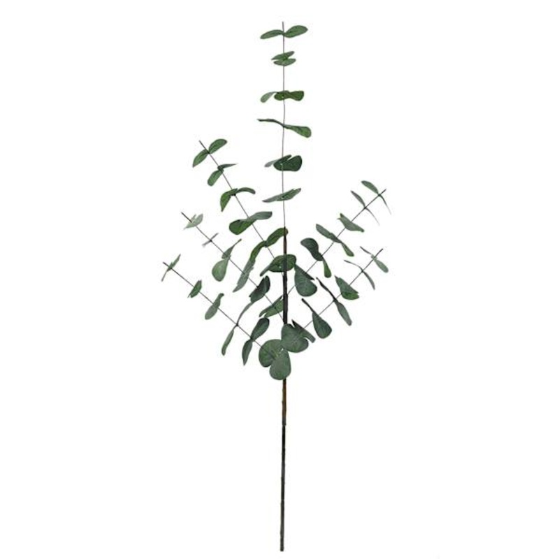 Eucalyptus Spray, 30.5″