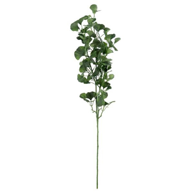 Gingko Leaf Spray, 34″