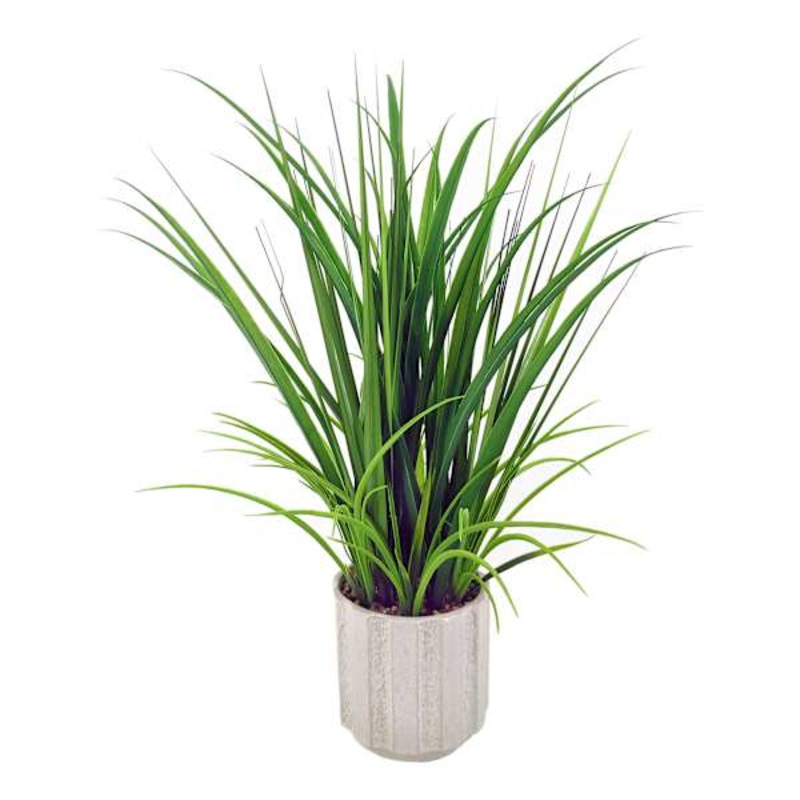 Grass in Ceramic Pot, 30″